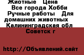 Жиотные › Цена ­ 50 - Все города Хобби. Ручные работы » Для домашних животных   . Калининградская обл.,Советск г.